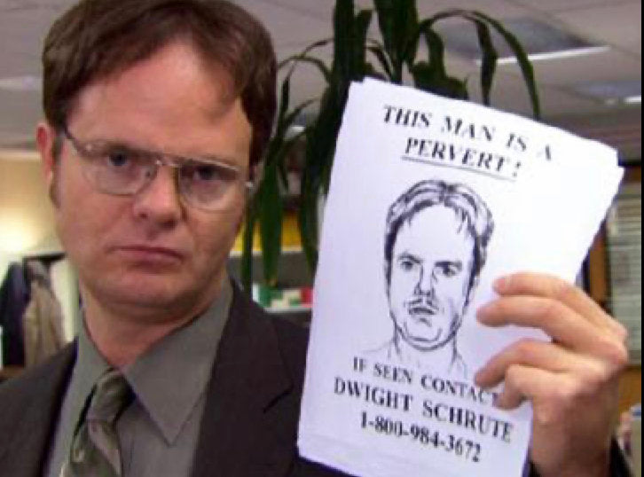 Dwight Schrute - Flasher Episode Decal